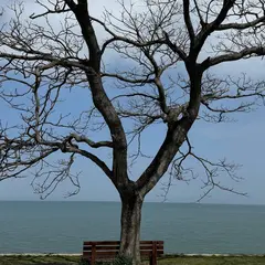 あのベンチ