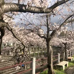 一本松川緑道