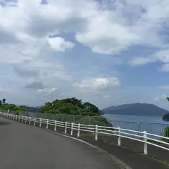 蒼島暖地性植物群落
