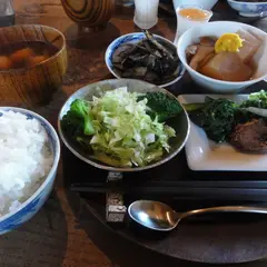 樫