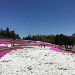 羊山公園第6駐車場