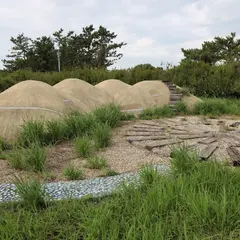 大島梅林公園