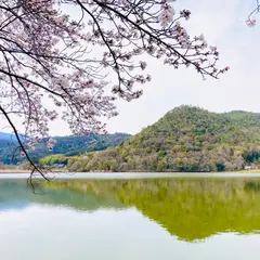 広沢池
