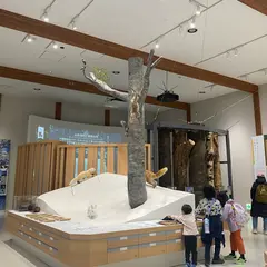 妙高高原ビジターセンター