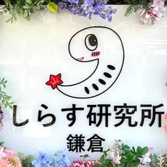 しらす研究所鎌倉
