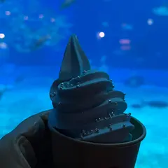 オーシャンブルー