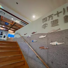 四万十川学遊館