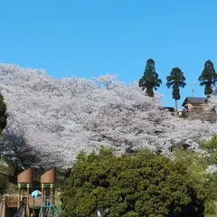 開山