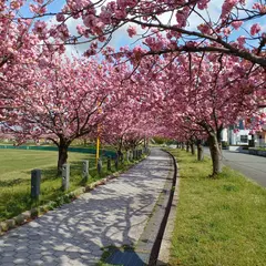 鶴岡西部公園