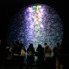 加茂水族館（バス）