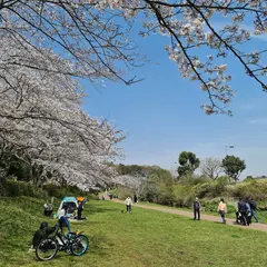 和泉川親水広場