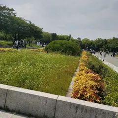 大阪城公園植木市(春、秋)