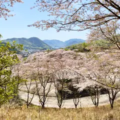 備前焼ギャラリー山麓窯