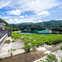桝谷ダム