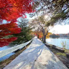 中池公園