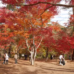 月の石もみじ公園