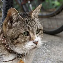 宮崎山形屋 四季ふれあいモール