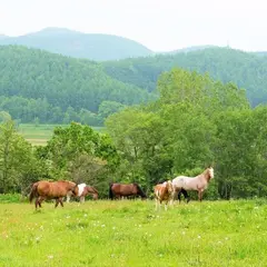クラークホースガーデン