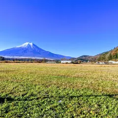 富士忍野ベリーランド
