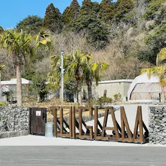 TOIGLAM SOLASITA