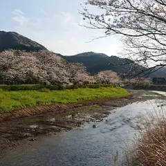 那賀川
