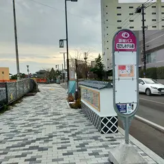花びしホテル前