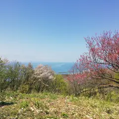 諸上寺公園