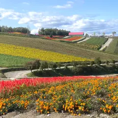 上富良野 上富良野フラワーランド