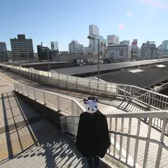 パンダ橋
