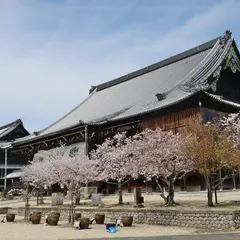 専修寺 御影堂