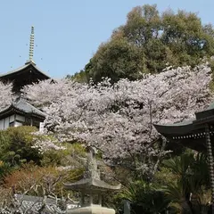切幡寺