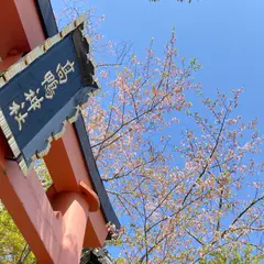 高鴨神社