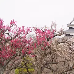 白河小峰城址公園