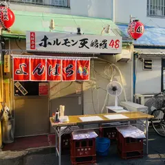 ホルモン天麩羅48