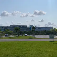 Little Universe OKINAWA