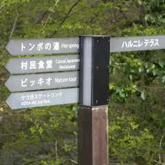ハルニレテラス