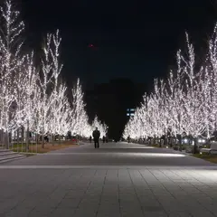 みんなの森 メディアコスモス
