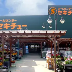 セキチュー 狭山北入曽店