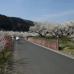 自然休養村センター