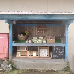 山川文庫