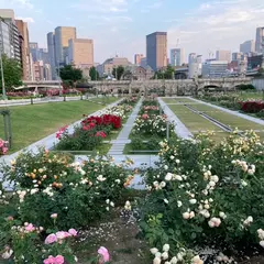 中之島バラ園