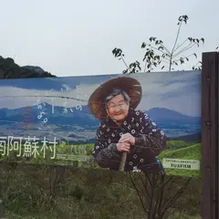 グリーンロード南阿蘇 展望所