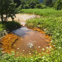 湯ノ岱温泉河川敷の湯