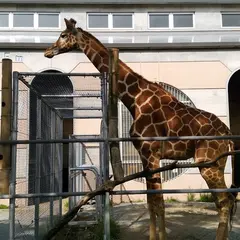 延命公園