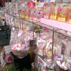 おおすぎフラワー
