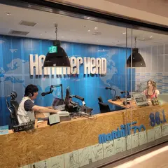 marineFM HAMMER HEAD STUDIO