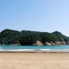 幸島