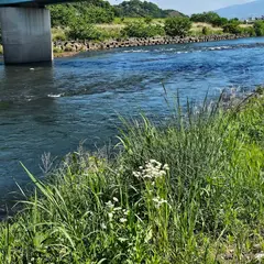 川の駅伊豆城山