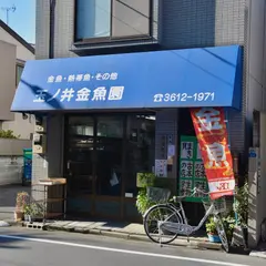 玉ノ井金魚園