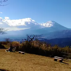 大野山